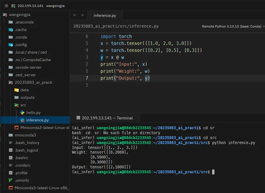 infer1 运行 inference.py