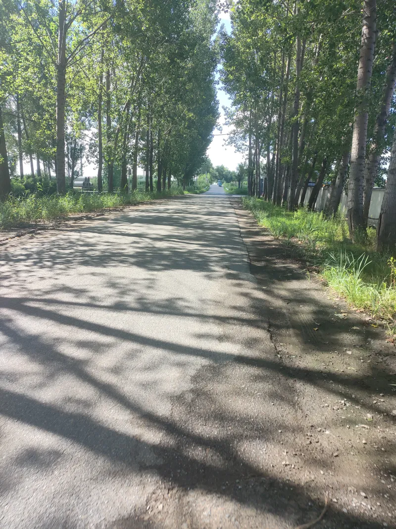 赶集风景7